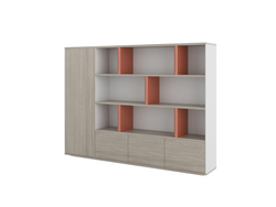 Back cabinet with Closet | Mickey